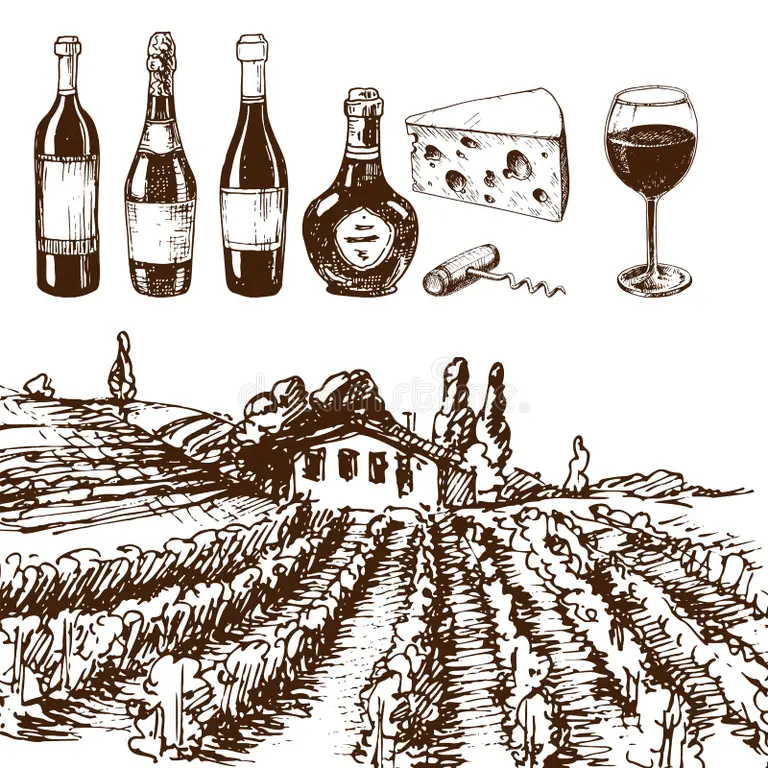Vintage vineyard and wine illustration
